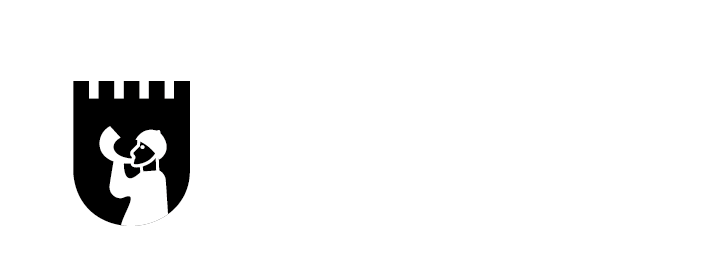 Município de Viseu